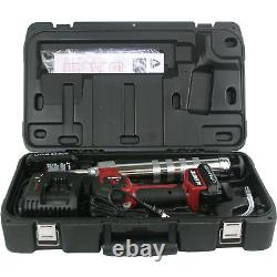 597-B 20-Volt Lithium-Ion NEW! Alemite 2-Speed Cordless Grease Gun Kit with LCD