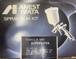 Anest Iwata 5803 Spray Gun Kit