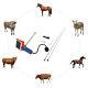Artificial Visual Insemination Gun Kit With Adjustable Hd Screen For Cows Cattle