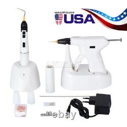 Dental Endodontic Gutta Percha Obturation System Gun + Pen + Needles + Tips Kit