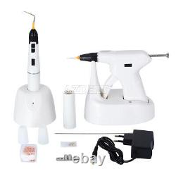 Dental Endodontic Gutta Percha Obturation System Gun + Pen + Needles + Tips Kit