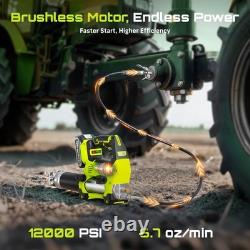 Electric Grease Gun 12000 PSI Battery Powered, Cordless Grease Gun Kit 2 Battery