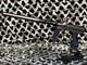 New Method Dlx Shocker Era Paintball Gun Copper/black
