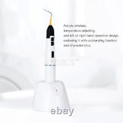 USA Dental Wireless Endodontic Gutta Perch Obturation Gun & Pen Kit/Heating Pen