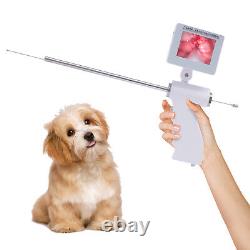 Dispositif de reproduction canine avec insémination artificielle visuelle, pistolet AI et endoscope