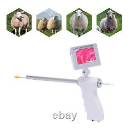 Écran HD 360°, caméra 15MP, pistolet d'insémination visuelle pour chèvres, kit de pistolet d'insémination pour chèvres