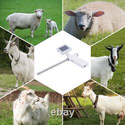 Kit de Pistolet d'Insemination Visuelle Artificielle pour Chien 15MP Caméra + Écran HD