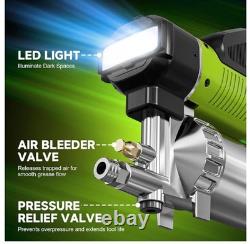 Kit de pistolet à graisse électrique Ristow 15000 PSI LED, flexible de 40, sans balais, batteries 2-4 Ah