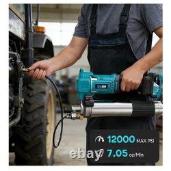 Kit de pistolet à graisse électrique sans fil 21 V 12 000 PSI haute pression, 7,05 oz/min, Var