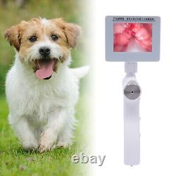 Kit de pistolet d'insémination artificielle pour chien avec endoscope visuel et dispositif d'élevage étanche
