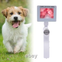 Kit de pistolet d'insémination artificielle visuelle pour chien - Outil de reproduction réglable
