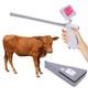 Pistolet D&rsquo;ins&eacute;mination Visuelle Pour Bovins, Vaches, Kit D&rsquo;ins&eacute;mination Artificielle Pour L&rsquo;&eacute;levage, Hd