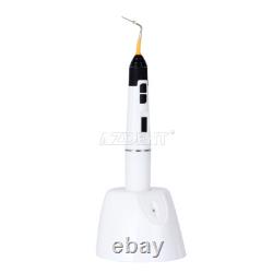 Système d'Obturation en Gutta Percha Dentaire Kit de Pistolet et Stylo Chauffé Endo avec Embouts F M FM